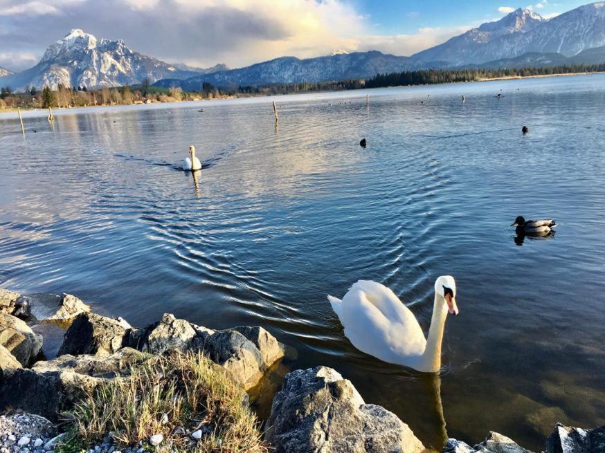 Hotel Fischer Am See Füssen Extérieur photo